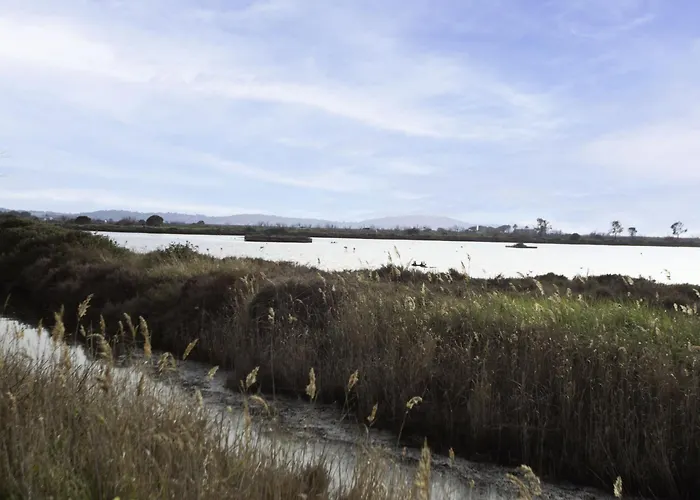 Appartement Port De La Gavine I-3 By Interhome Hyères